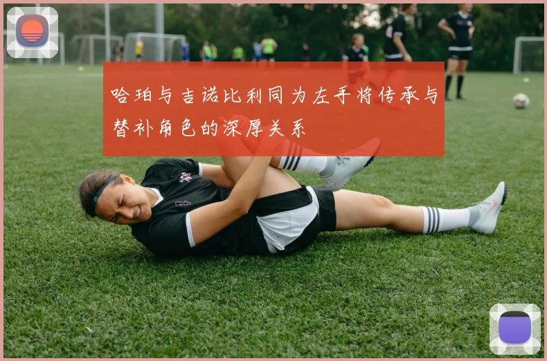哈珀与吉诺比利同为左手将传承与替补角色的深厚关系