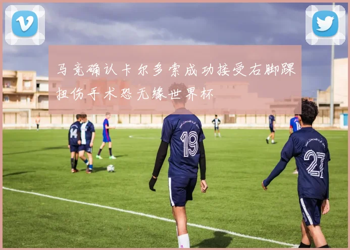 马竞确认卡尔多索成功接受右脚踝扭伤手术恐无缘世界杯