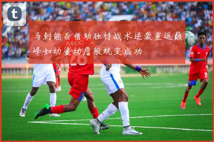 马刺能否借助独特战术逆袭重返巅峰如幼鲨幼詹般蜕变成功